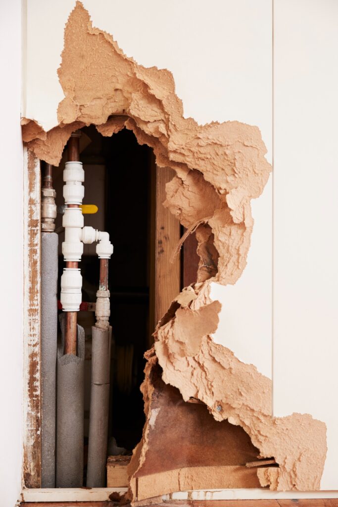 Emergency Plumbing